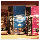 画像:セレクトバランス