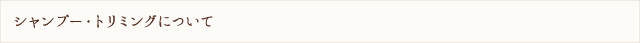 シャンプー・トリミングについて