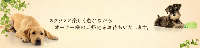 スタッフと楽しく遊びながらオーナー様のご帰宅をお待ちいたします。