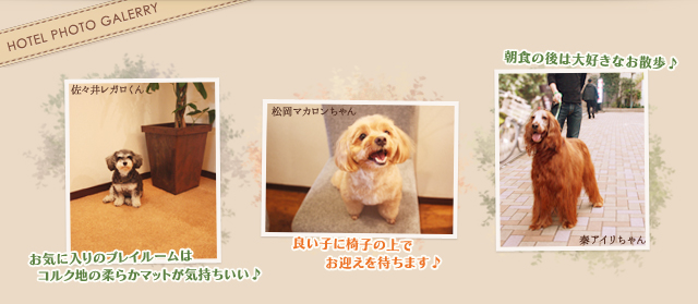 画像:ホテル風景