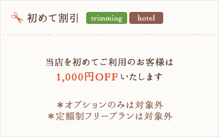 初めて割引 - 当店を初めてご利用のお客様は1,000円OFFいたします。※オプションのみは対象外