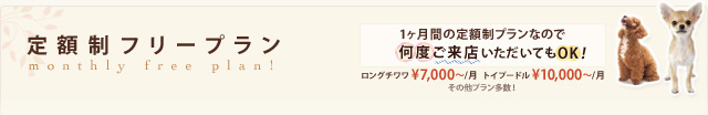 定額制フリープラン