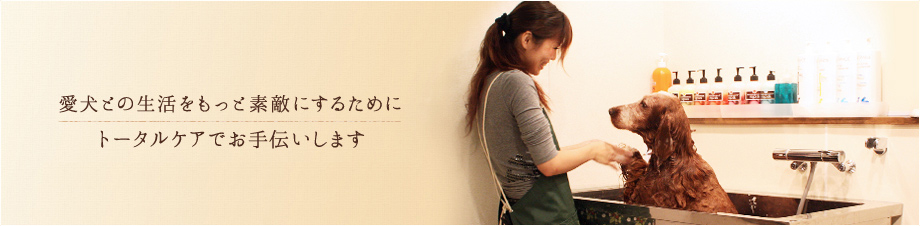 愛犬との生活をもっと素敵にするためにトータルケアでお手伝いします。【2011年9月21日グランドオープン！】