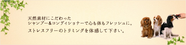 天然素材にこだわったシャンプー＆コンディショナーで心も体もフレッシュに。ストレスフリーのトリミングを体感してください。